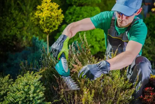 landscaping services Murray Hill
